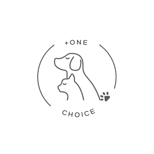 +One Choice
